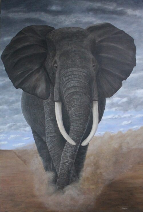 elephant march